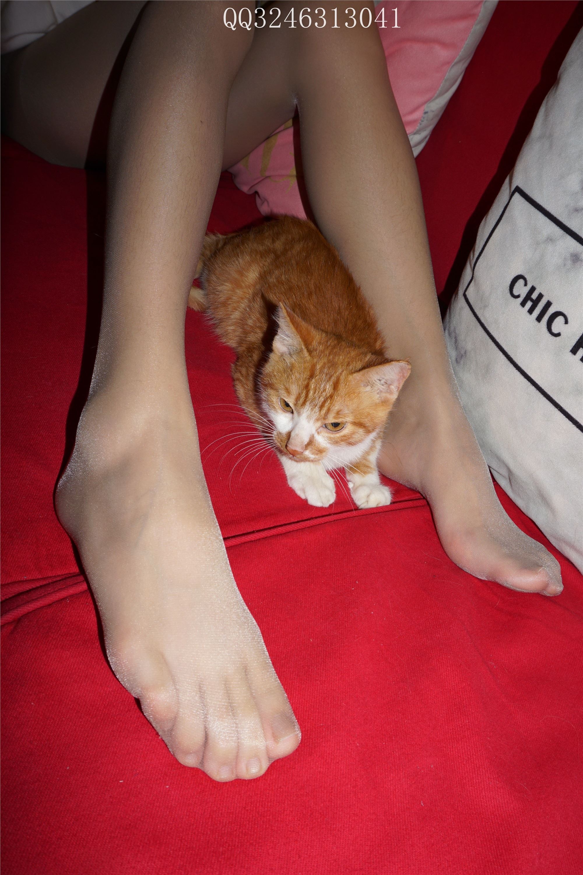 大生模拍 No.090 灰丝高跟小野猫